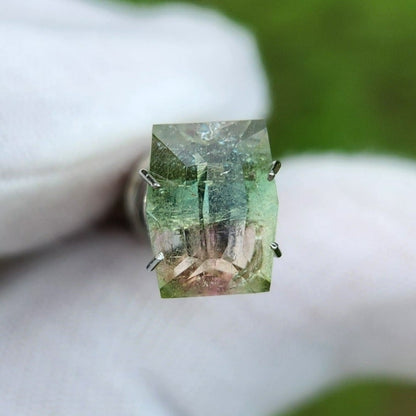 Brazillian Bi-Colored Tourmaline