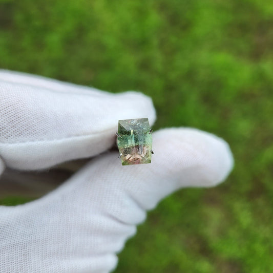 Brazillian Bi-Colored Tourmaline